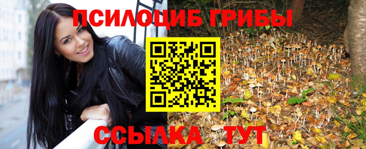 купить наркотик  Псилоцибиновые грибы Cubensis  Вход с VPN  Киселёвск 