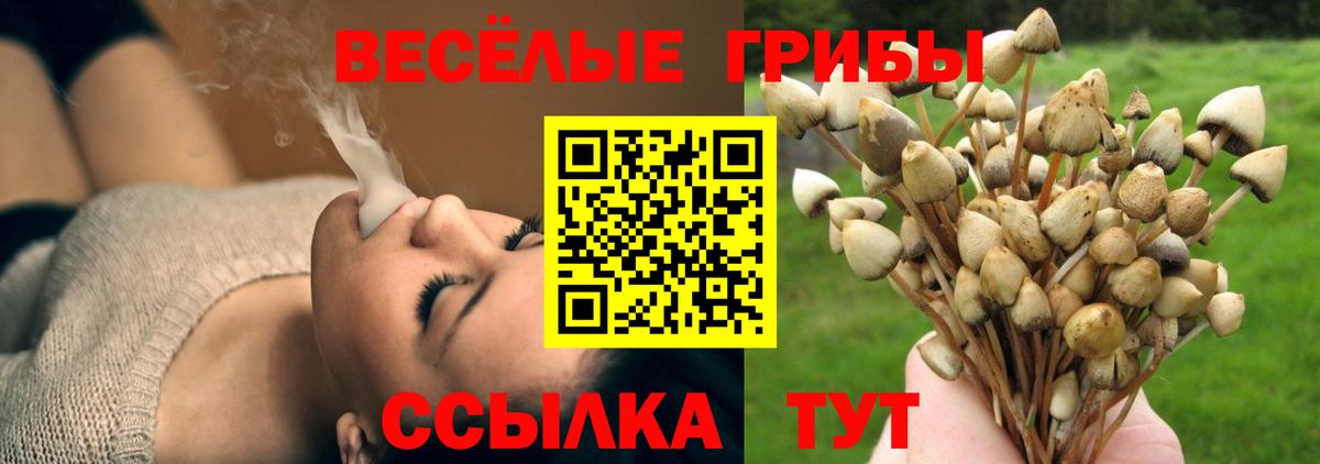 Галлюциногенные грибы Cubensis Киселёвск